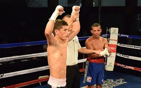 Boks wsb uzbek tigres yangi mavsumni 3 fevral kuni xitoyda boshlaydi — ozbekiston