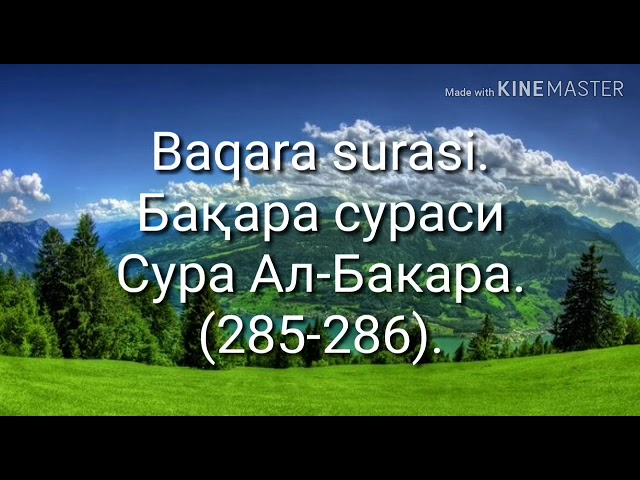 Баара сураси — 285-286 видео — збекистон