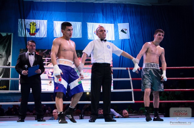 Бокс uzbek tigers — в четвертьфинале wsb видео фото — узбекистан