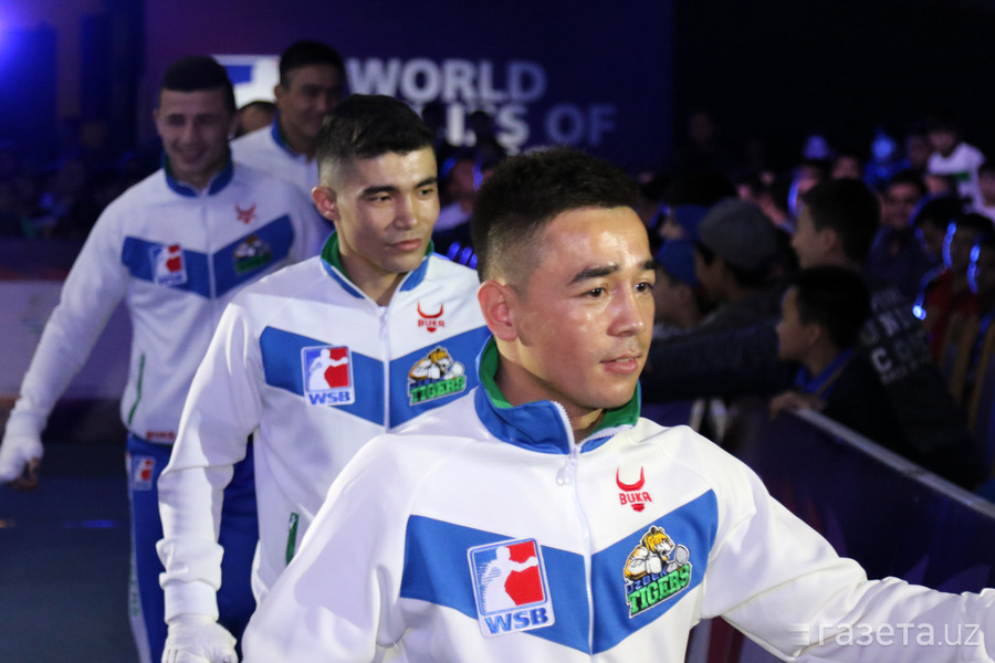 Бокс uzbek tigers — wsb чорак финалида — збекистон
