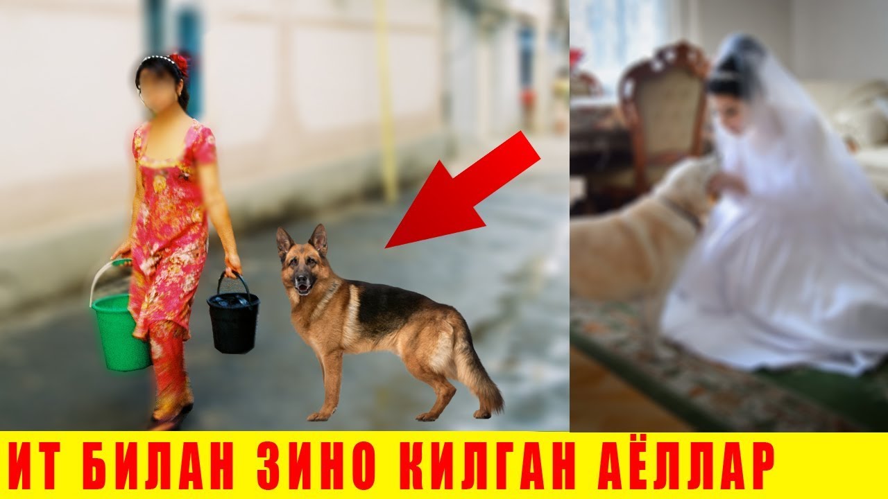 Жинсий алоа збекча сикишлар видео — збекистон