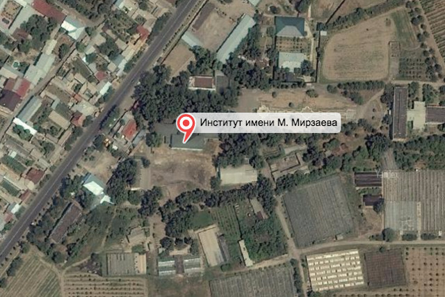 Мирзаев номидаги итида дарахтларнинг ноонуний кесилгани тасдиланди — збекистон
