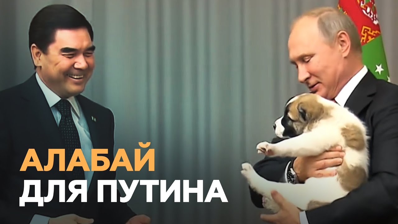 Президент путин украинанинг айримачи худудлари рахбарлари билан телефонда сузлашди — узбекистон