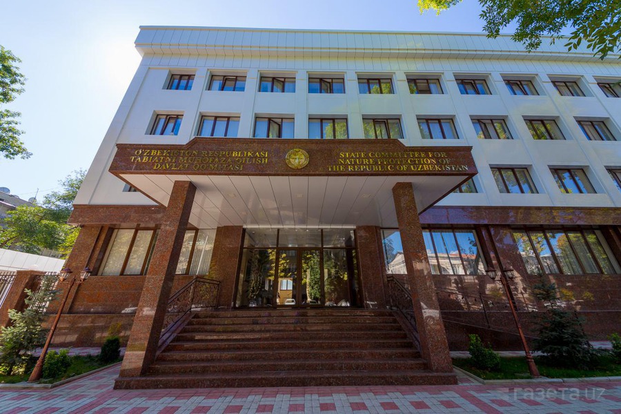Ekologiya va atrof-muhitni muhofaza kilish davlat komitasi tashkil etildi — ozbekiston