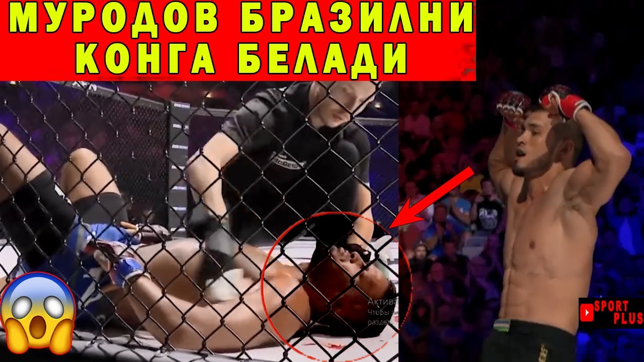Mma мамуд муродов xfn ватинчалик чемпионлигини лга киритди видео — збекистон