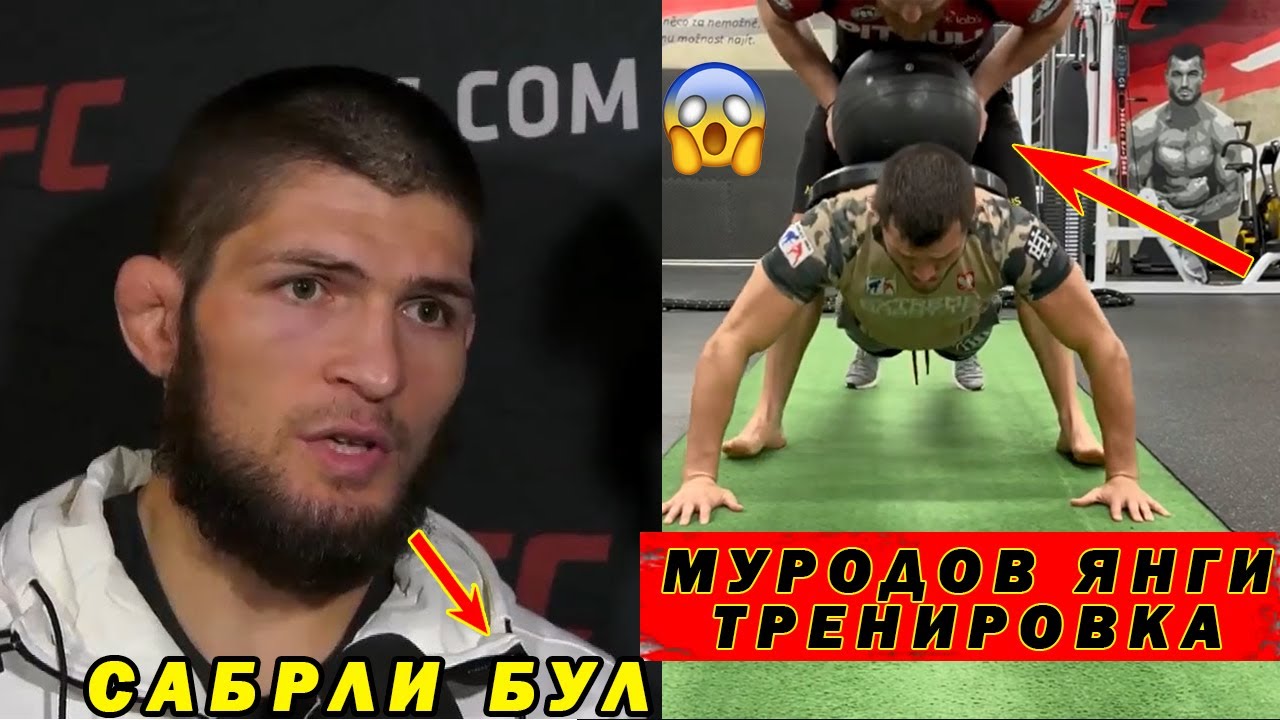 Mma махмуд муродов xfn вактинчалик чемпионлигини кулга киритди видео — узбекистон