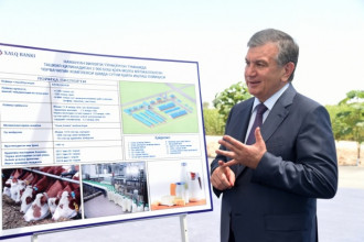 Prezident kovulchilikni rivojlantirish buyicha assosiasiya tashkil etishni taklif qildi — ozbekiston