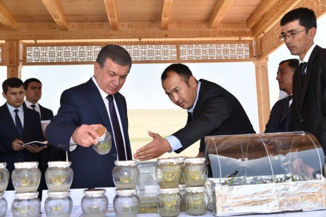 Prezidentga in vitro texnologiyasi boyicha urug va kochatlar etishtirish laboratoriyasi loyihasi takdim