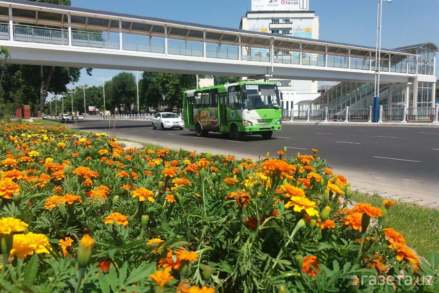 Toshkent va poytakht viloyati hokimiyatlarining transport departamentlari tugatiladi — ozbekiston